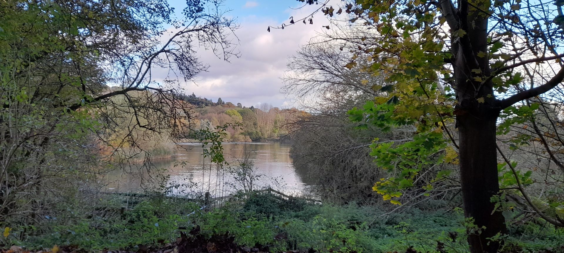 Amwell Nature Reserve